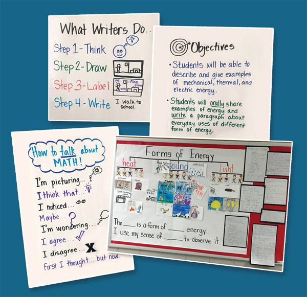 Library Anchor Charts