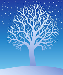 Winter-Tree-222