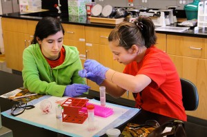 girls-stem-lab