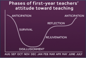 first yr tching phases