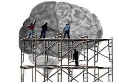 Men On Scaffolding Working on a Brain