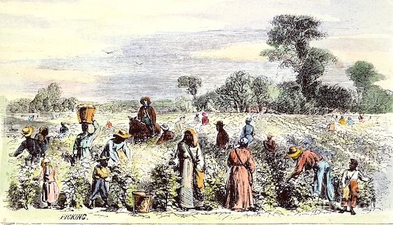 picking cotton 1867 granger 570