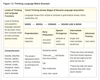 Thinking-Language-Matrix-example