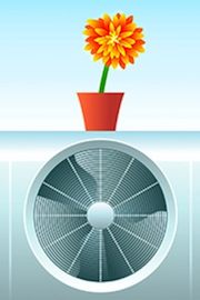 flower fan