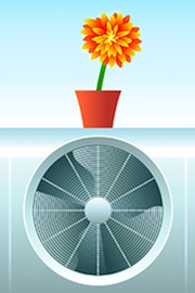 flower-fan