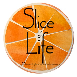Slice-of-Life-orange-logo