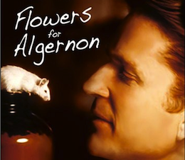 flowers snip