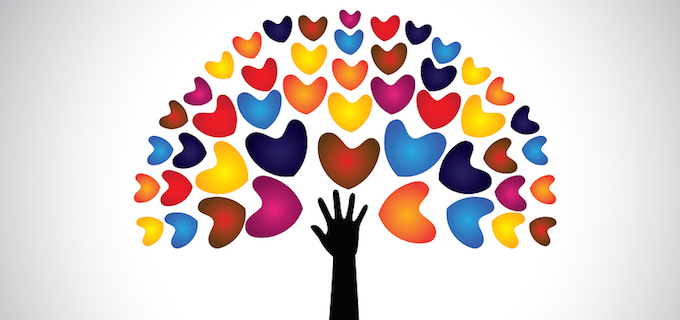 Students make a difference with passion projects