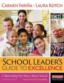 school leaders guide to excel mccauley