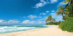 Untouched Sandy Beach With Palms Trees And Azure Ocean In Background Panorama