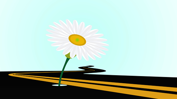 flower-road-570