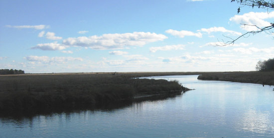 Marshlands at Laudholm Farm in Maine