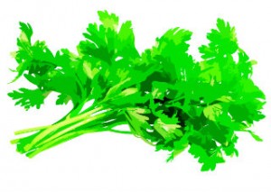 large parsley 320