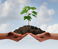Cooperation Growth