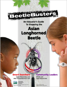 Educator'sGuide 220 beetle