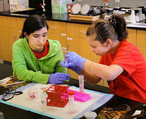 girls-stem-lab 300