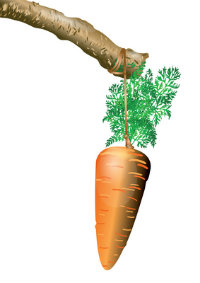 mt carrot stick