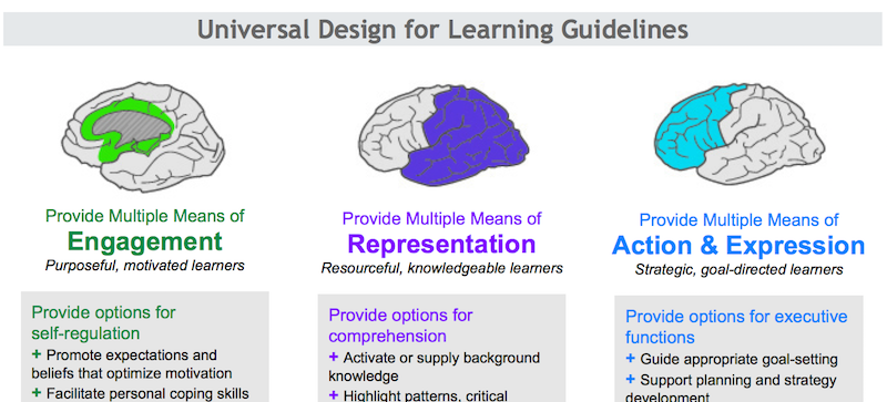 UDL guidelines