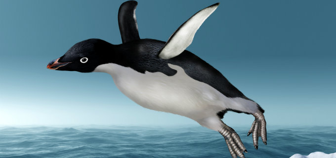 cm airborne penguin 680