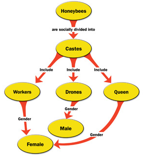 curtis bee map