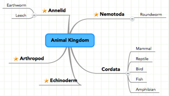 Help Students 'Show' What they Know with Concept Mapping Help Students 'Show' What they Know with Concept Mapping