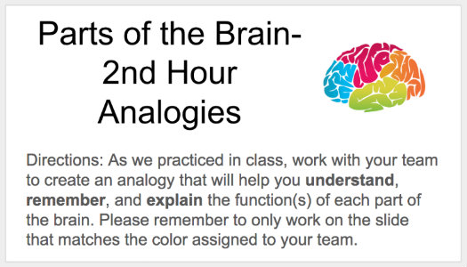 c chandler parts of brain slide 525