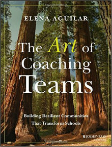 art-of-teaching-teams-bradvica