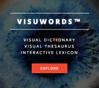 visuwords