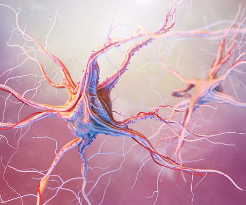 Colorful illustration of a neuron with synapses reaching out into space