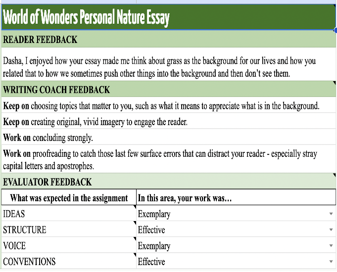 essay comments for students