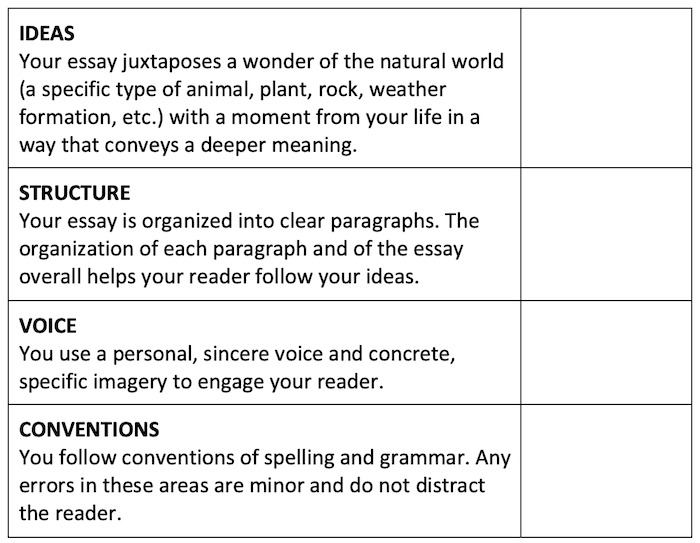 essay comments for students